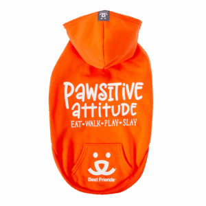 Best Friends Pawsitive Attitude Dog Hoodie - Orange, Small