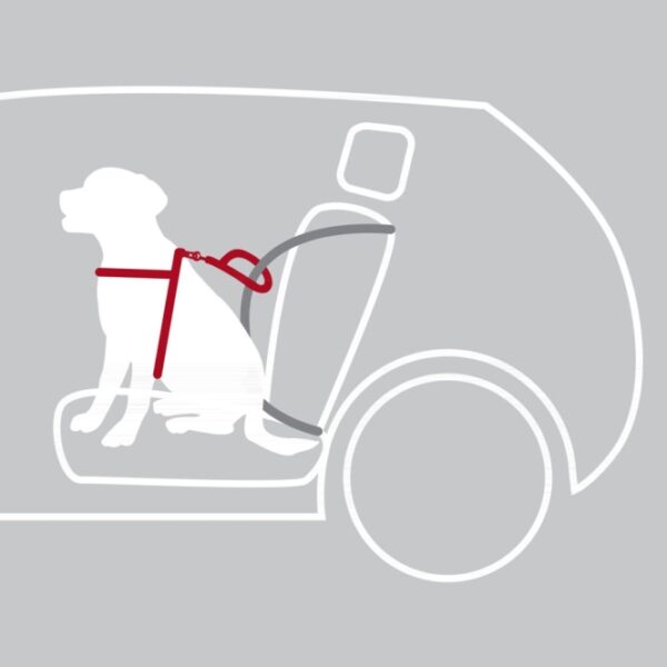 Trixie-Auto-Sicherheitsgeschirr-Dog-Protect-3
