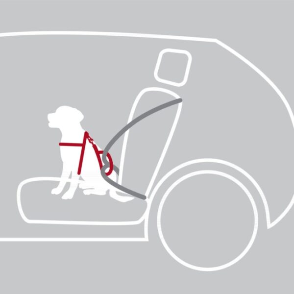 Trixie-Auto-Sicherheitsgeschirr-Dog-Protect-4