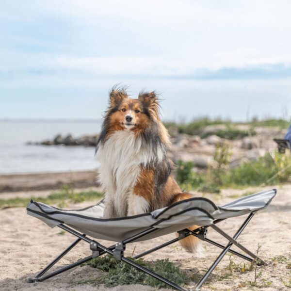 Trixie Camping-Bett für Hunde-10
