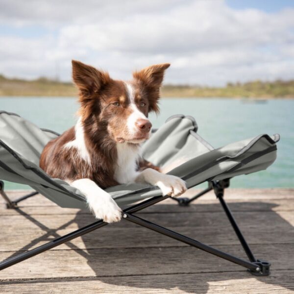 Trixie Camping-Bett für Hunde-8